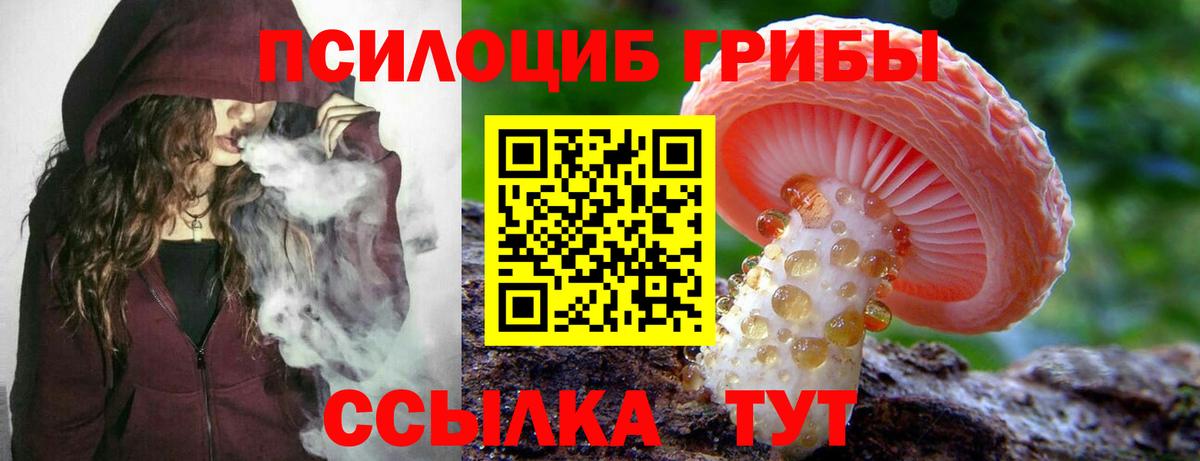 Псилоцибиновые грибы Magic Shrooms Тосно
