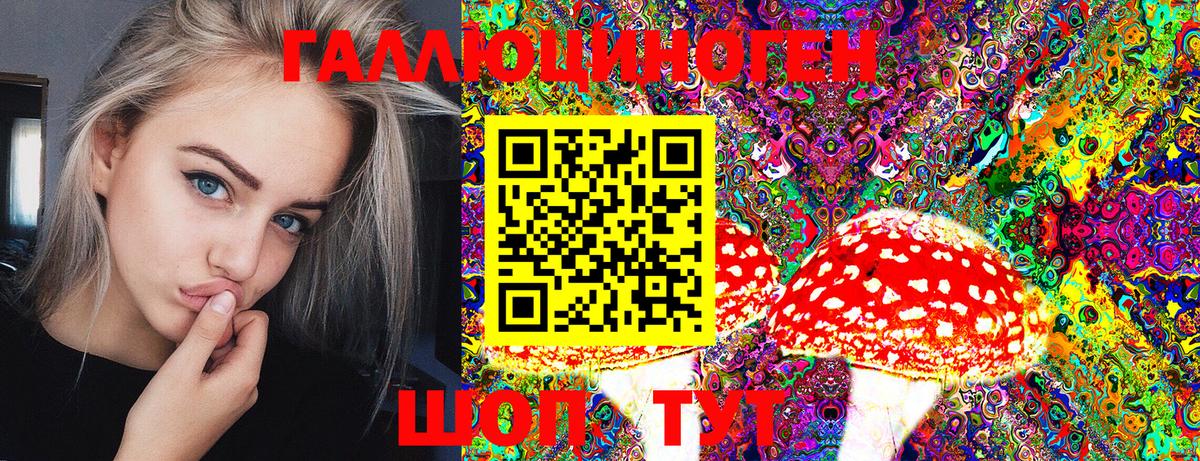 Тосно  Псилоцибиновые грибы мухоморы  Вход с VPN  Галлюциногенные грибы MAGIC MUSHROOMS 