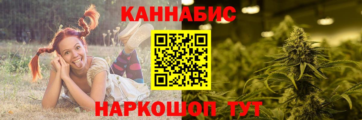 Конопля тримм  Бошки марихуана Ganja  Вход с VPN  Канабис White Widow  Тосно 