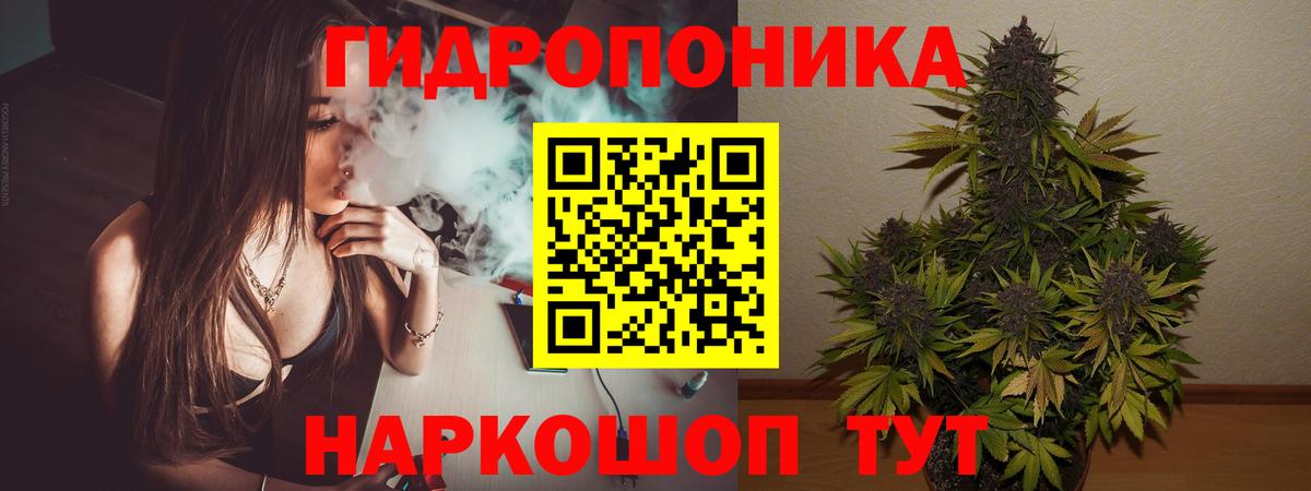 Канабис гибрид Тосно